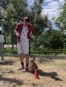 Дресирування собак MaliGuards Club K9
