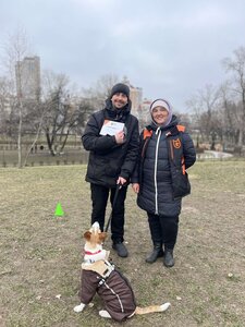 Дресирування собак MaliGuards Club K9
