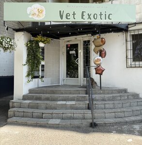 Ветеринарна Клініка Vet Exotic