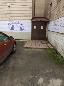 Полівет