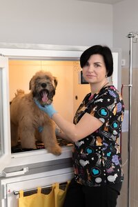 VetLovePet Clinic