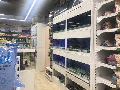Зоомаркет MasterZoo