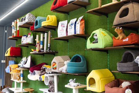 ЗООMAG SuperPets