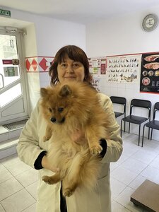 Ветеринарна клініка «Ветсервіс»