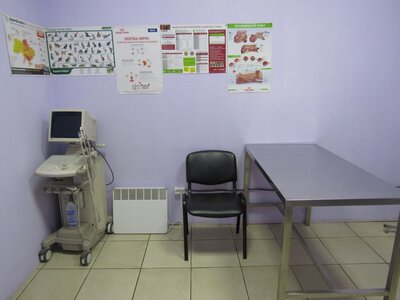 Ветеринарна клініка «Фелікс»