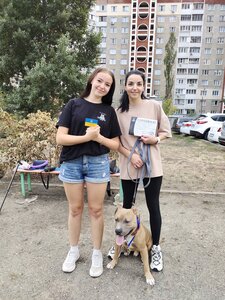 «Страж» Центр службового собаківництва