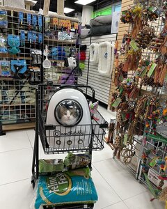 CosmoPet - космічні рюкзаки для котів та собак