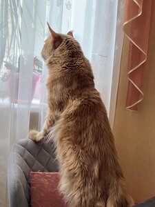 ЗооДоктор