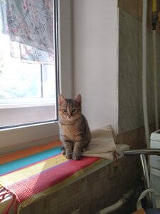 ЗооДоктор