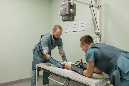 veterinary hospital «Genesis»