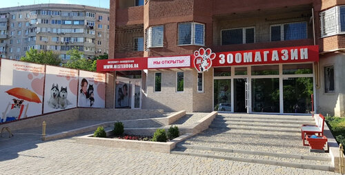Мистер Дог