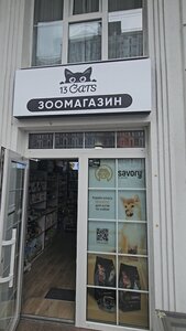 13 Cats Нова Англія