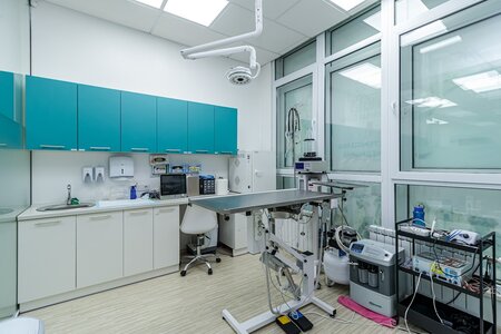 Ветеринарна клініка Animal Clinic Осокорки