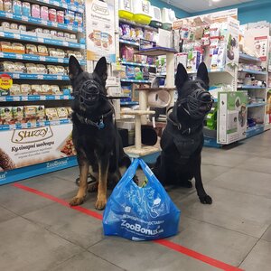 ЗооБонус