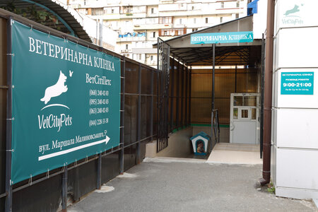 Ветеринарная клиника VetCityPets