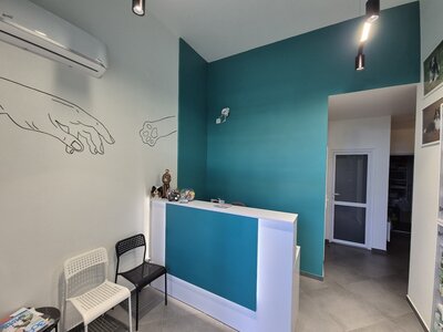 Ветеринарна клініка «Ассоль»