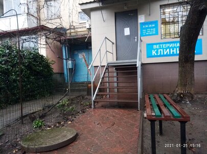 Центр ветеринарних послуг