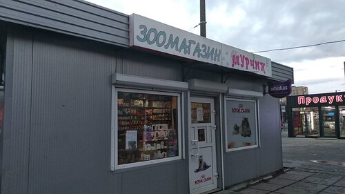 «Мурчик»