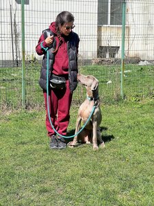 MaliGuards Club K9