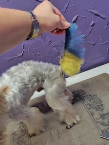 Груминг салон «Petgroomingstyle»