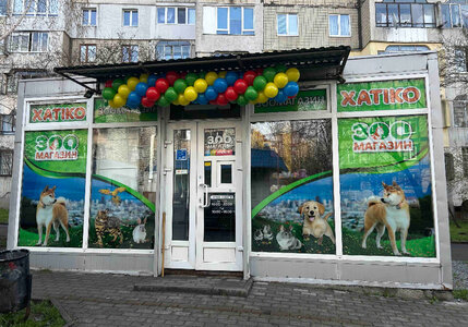 Зоомагазин Хатіко