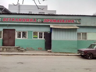 Ветеринар на дом