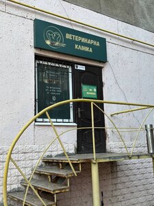 VetFive Ветеринарна клініка Вет Файв