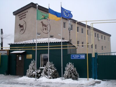 Контакт-центр «Pets Friendly» Харьковского городского приюта для бездомных животных