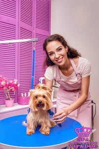 Spa Салон & Бутик Vip & Dog для животных