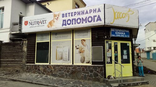 Хвіст