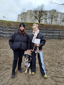 DOG TRAINING «STRAZH» center-Дрессировка собак Троещина
