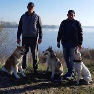 DOG TRAINING «STRAZH» center-Дрессировка собак Троещина