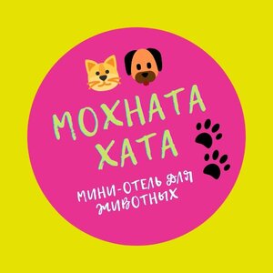 Мохната Хата отель для животных Харьков