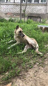 КОМУНАЛЬНЕ ПІДПРИЄМСТВО «ЗООКОНТРОЛЬ»