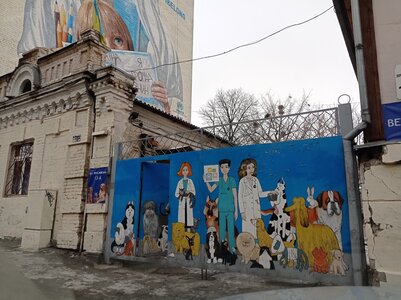 Київська міська лікарня ветеринарної медицини