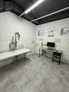 Animal Hospital