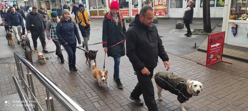 Дрессировочный Центр «ЛЕГИОН»