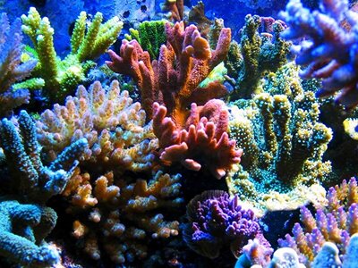 Інтернет-магазин Aqua-Dom Лагуна