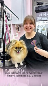 V.O.G DOG SALON