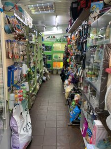 Фауна