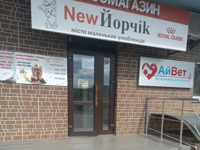 АйВет