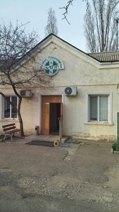 АМІ ПП