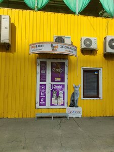 Зоомагазин «Dog&Cat»