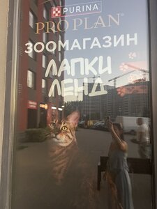 Лапки Ленд зоомагазин