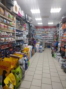 Сита Морда