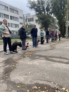 K9-profi