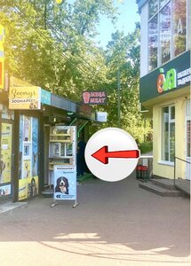 Зоомагазин «Зоомур»