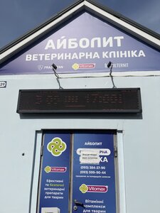 Айболит