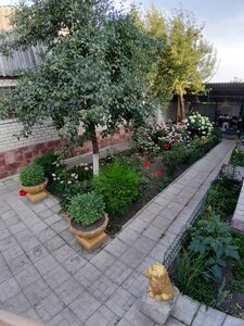 «Пес і Кіт» Готель для собак та котів