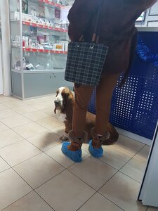 ВетПро